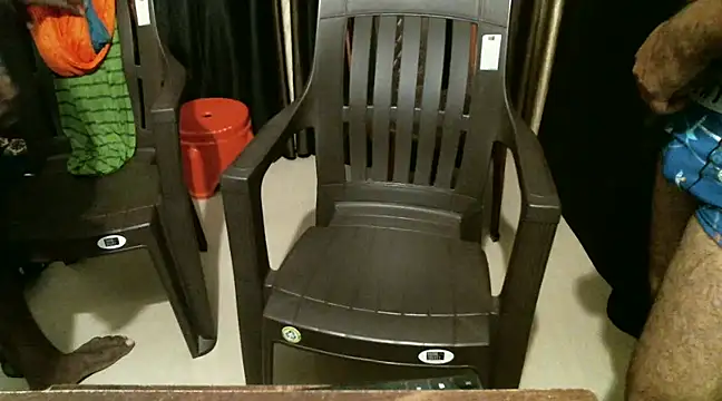 Snapshot of indian2 chatting on 21, 12, 2024 indian2 online show from 21, 12, 2024