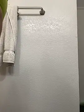 Snapshot of ft2022W chatting on 11, 3, 2025 ft2022W online show from 11, 3, 2025