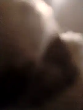 Snapshot of ft2022W chatting on 16, 2, 2026 ft2022W online show from 16, 2, 2026