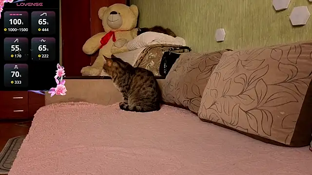 Miss Flexi fit online show from 9, 4, 2026