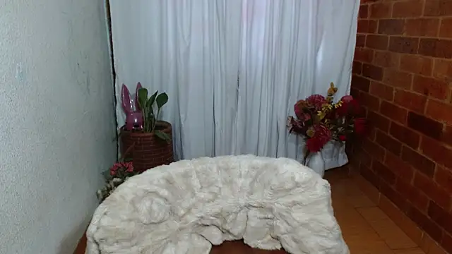 Snapshot of rashellroses22 chatting on 20, 12, 2024 rashellroses22 online show from 20, 12, 2024