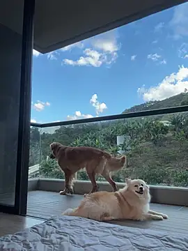 Helenbronwx online show from 17, 1, 2025