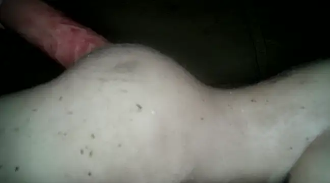 xxxlecram online show from 14, 3, 2025