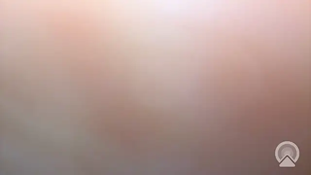 Snapshot of Aulonocara86 chatting on 17, 12, 2025 Aulonocara86 online show from 17, 12, 2025