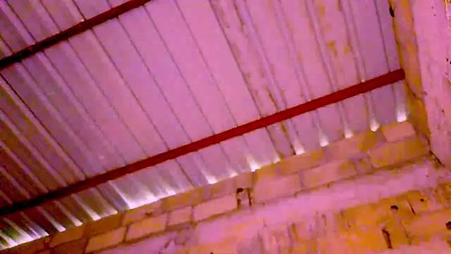 nzanizy online show from 17, 1, 2025