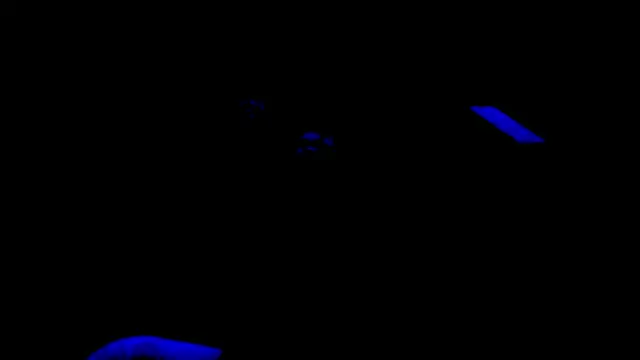 nzanizy online show from 31, 1, 2025