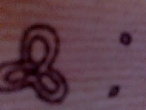 Snapshot of soniasharma0223 chatting on 17, 2, 2025 soniasharma0223 online show from 17, 2, 2025