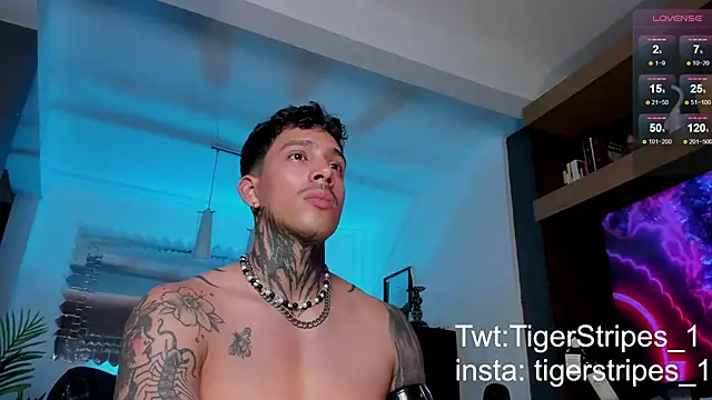 TigerStripes1  online show from 12, 2, 2025