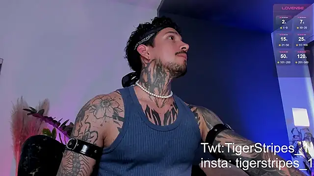 TigerStripes1  online show from 19, 3, 2025