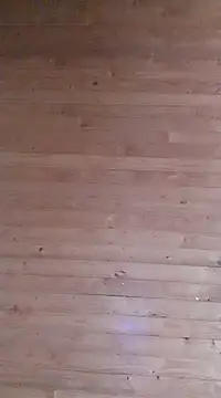 aliosa23 online show from 21, 1, 2025