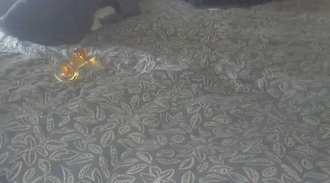 michaelknight101 online show from 15, 12, 2024