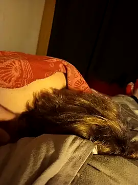 PIercingBoy38 online show from 26, 11, 2025