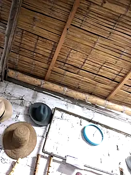 kvr27 online show from 3, 11, 2025