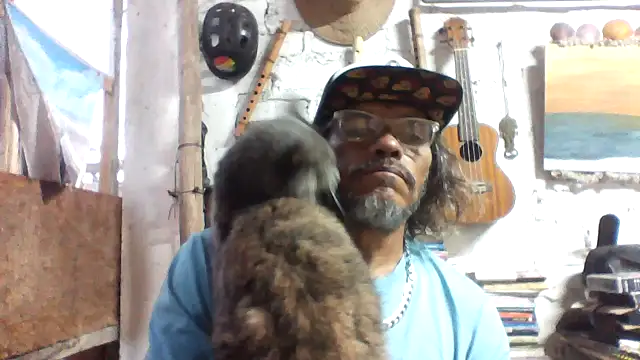 kvr27 online show from 16, 4, 2026