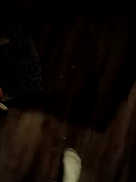 Donglong80 online show from 17, 11, 2025